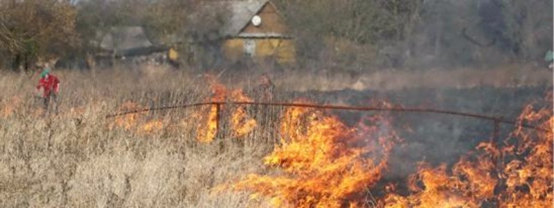 В Борисовке появился поджигатель?