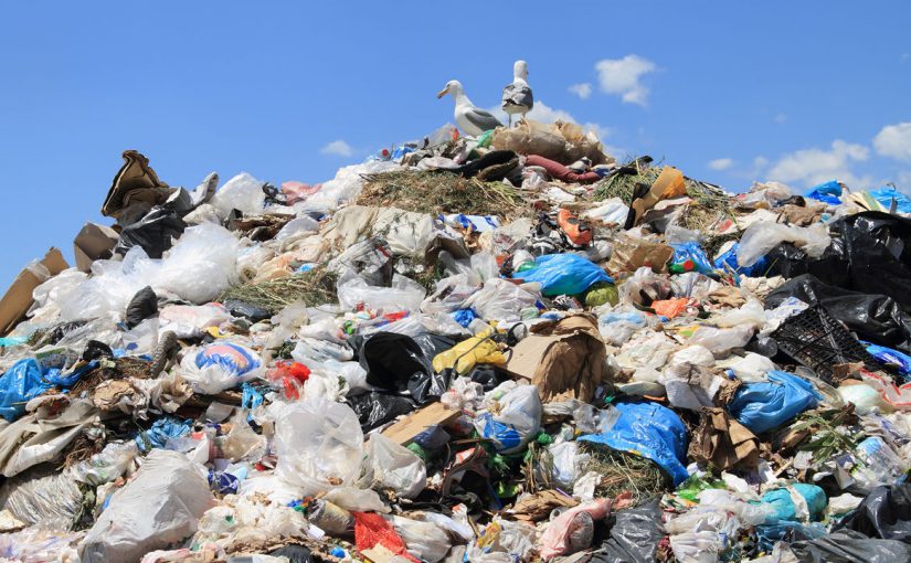 На закрытый мусорный полигон в Новороссийске привозили гниющие отходы