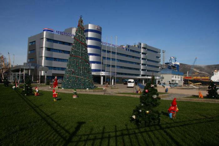 На «сувенирку» к Новому году НМТП потратит 2,3 миллиона рублей