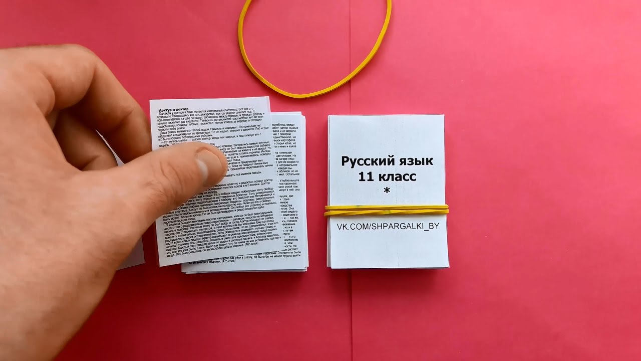 Новороссийским выпускникам брать шпоры не советуют - по дороге из туалета  все забудешь | Новорос Стартап