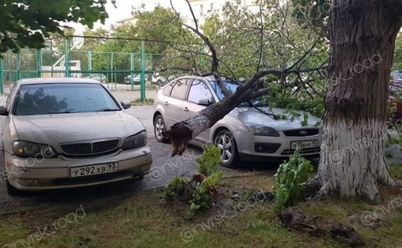 Ветер повалил дерево на автомобиль во дворе многоквартирного дома