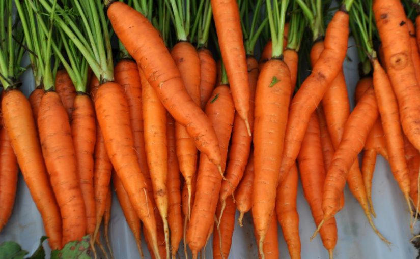 «Золотая» морковь в Новороссийске стала «серебряной»