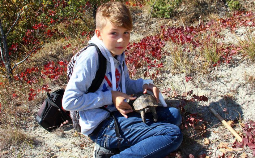 Новороссийский шестиклассник нашел в Мысхако роддом краснокнижных черепах