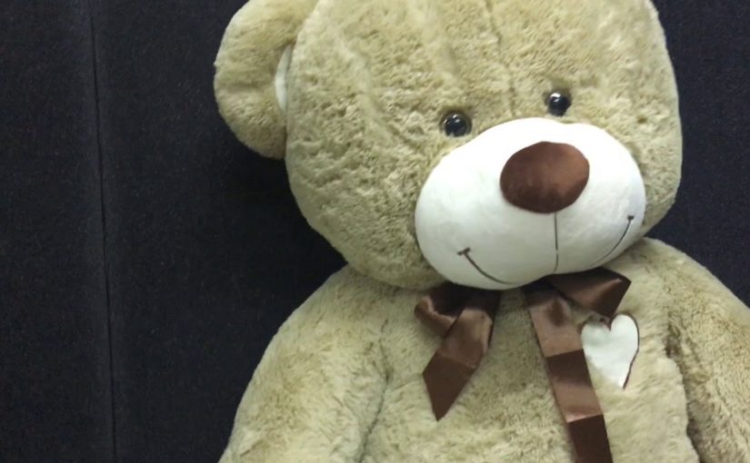 Старый плюшевый медведь стал причиной эвакуации пациентов из детской поликлиники в Новороссийске