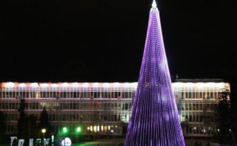 На Новый год в Новороссийске могут установить «старую» елку с новой хвоей
