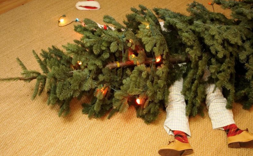 Куда можно направить щепу от новогодних елок в Новороссийске?