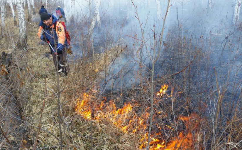 Под Новороссийском дважды горело в лесу
