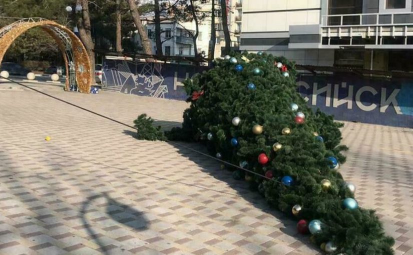 В Новороссийске на площадях валялись новогодние елки