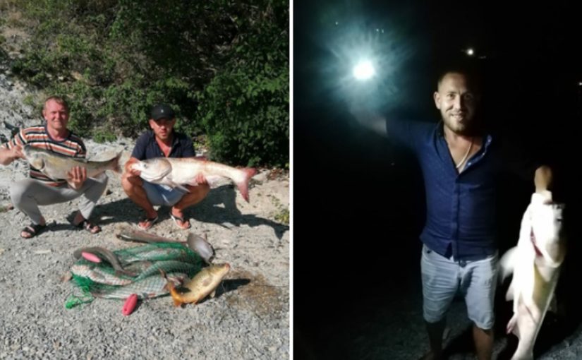 В озере Абрау пойман 8 – килограммовый толстолобик