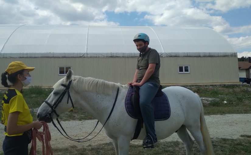 В Новороссийске лошади соскучились по детям (видео)