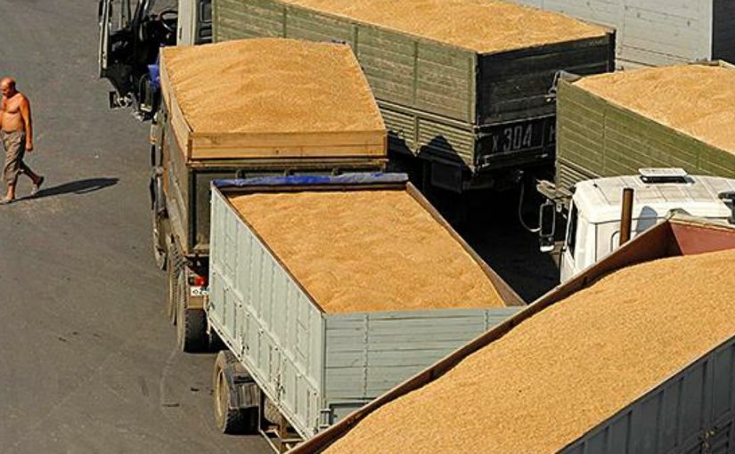 В Новороссийске комбинат хлебопродуктов отгрузил в два раза больше зерна — зерновозов на дорогах стало больше?
