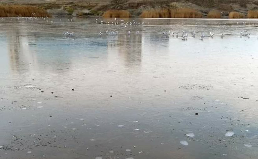 В Новороссийске фотографируют замерзшую лагуну