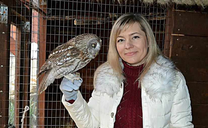 Птичий волонтер из Новороссийска ищет единомышленников