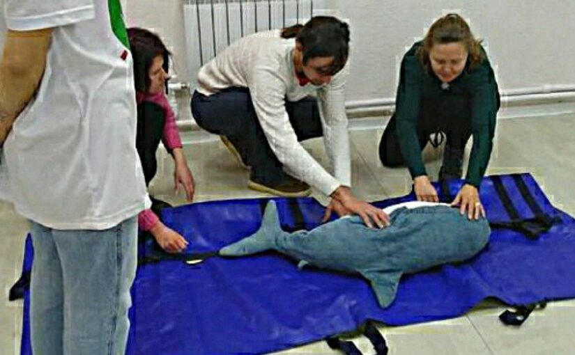 Школьники Новороссийска тренировались на акуле Гале спасать дельфиньи жизни