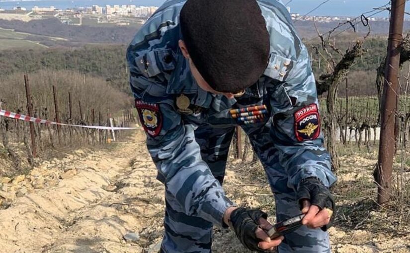 На виноградниках Новороссийска нашли мину, но взрывным будет вино?