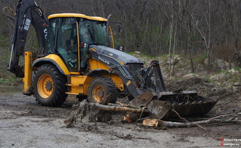 В Пионерской роще Новороссийска снова рубят деревья и работает техника (видео)