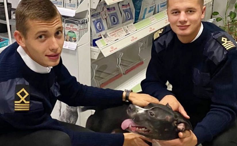 В Новороссийске у курсантов Морского университета появился пес