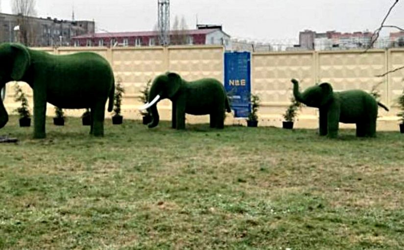 В Новороссийске вертикально озеленяют сквер со слонами