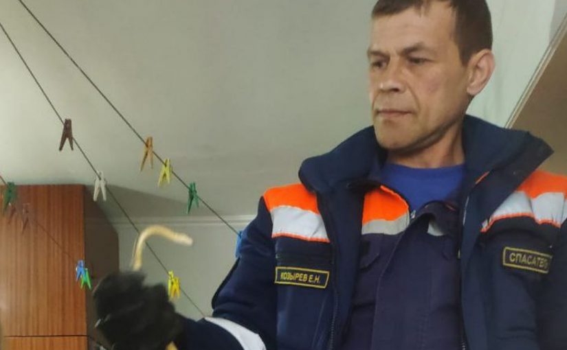 В Новороссийске бесстрашные руки спасателей поймали змею в частном доме.