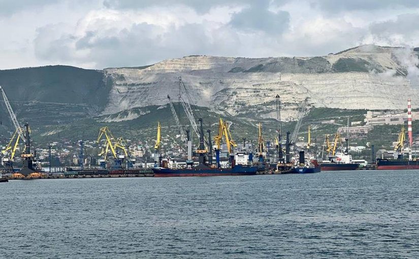 Росприроднадзор в порту Новороссийск обнаружил проблемы очистки стоков