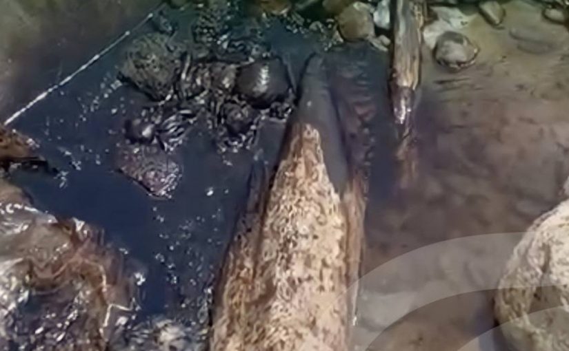 На берегу Новороссийска возле Барбарины нашли следы нефтепродкутов