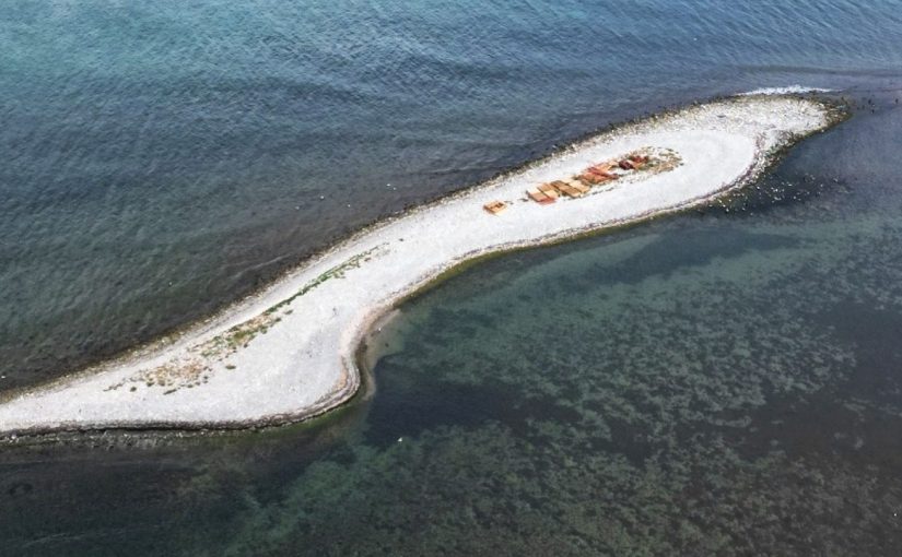 Остров Суджук в Новороссийске хотят сделать особо охраняемой природной территорией