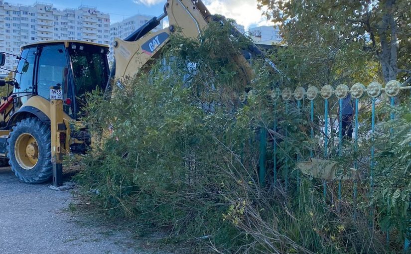 В Новороссийске вырубают большие и маленькие деревья под строительство Центра единоборств