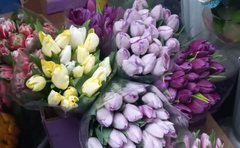На рынке Новороссийска в фаворитах мимоза и тюльпаны для милых дам