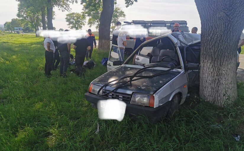 Водитель-новичок въехал в дерево на трассе Новороссийск — Керчь