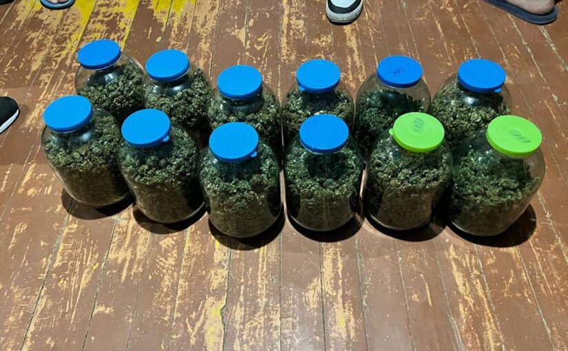Житель Новороссийска выращивал сырье для наркотиков и закатывал в банки марихуану