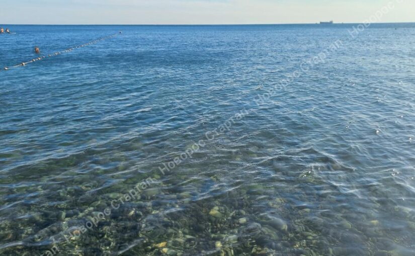 Черное море стало рекордно соленым