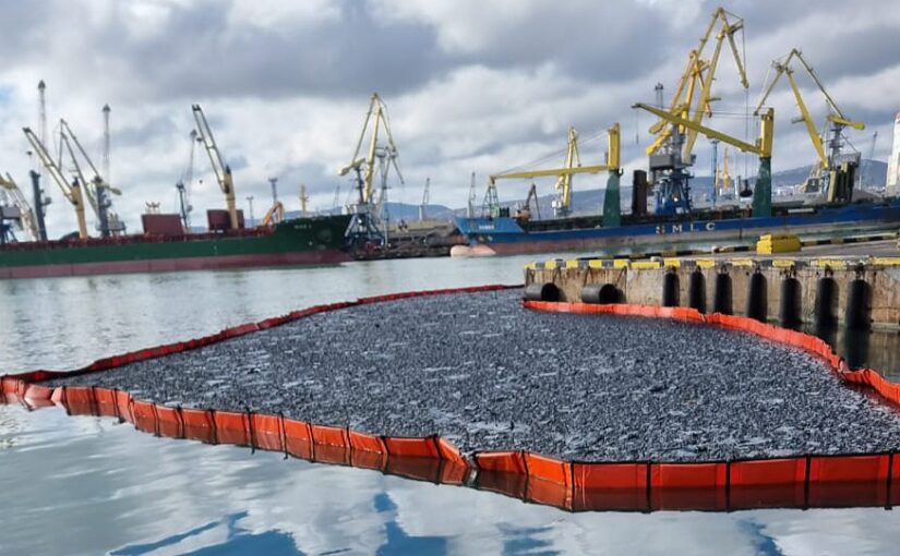 Темные сгустки в бухте Новороссийска — это то, что осталось после разлива 40 тонн нефти.